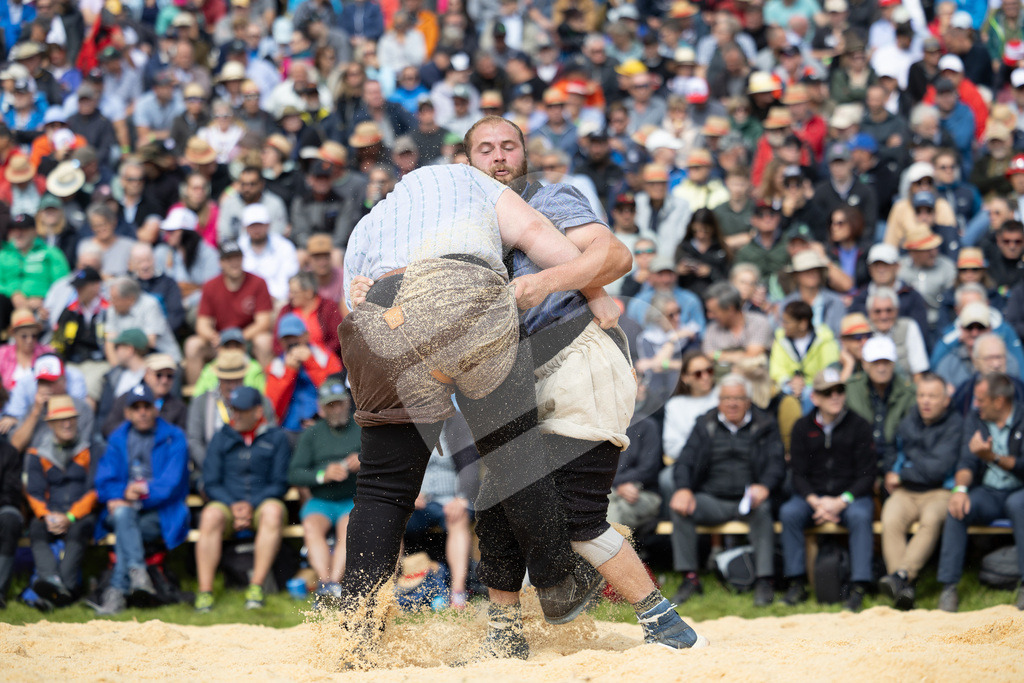 Rigi2025_1002 | Die Schwinger des Schwyzer Kantonalen Schwingerverbandes: Fotos, die Dynamik und Leidenschaft festhalten, sowie emotionale Momente aus dem traditionellen Schwingsport zeigen. - Realisiert mit Pictrs.com