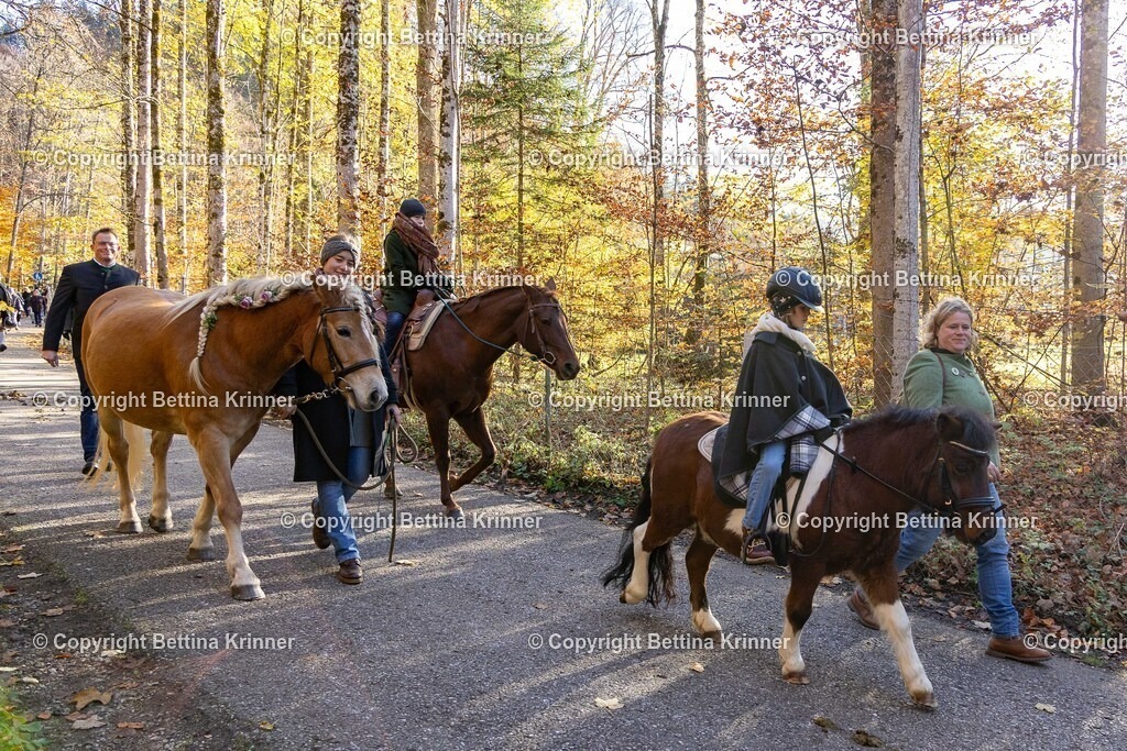 LL24-367 | foto-bettina-krinner - Realisiert mit Pictrs.com