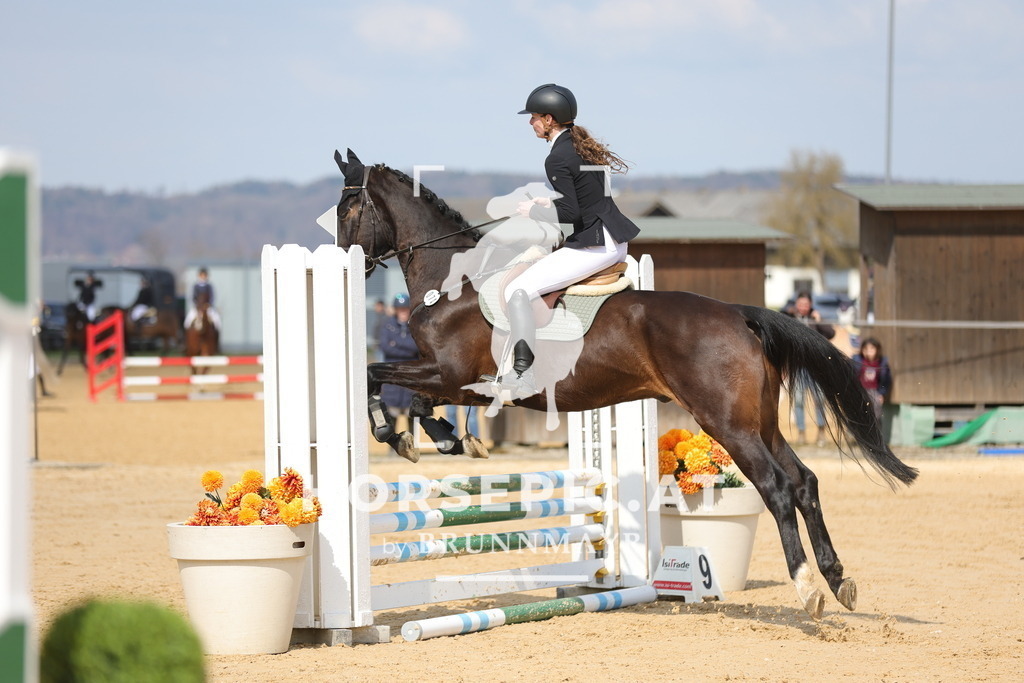 0P6A7088 | Willkommen bei Brunnmayr - Design & Fotografie – Ihrem Spezialisten für Reitturniere und Pferdeveranstaltungen in Oberösterreich, Salzburg und Bayern! Seit über 17 Jahren sind wir leidenschaftlich dabei.