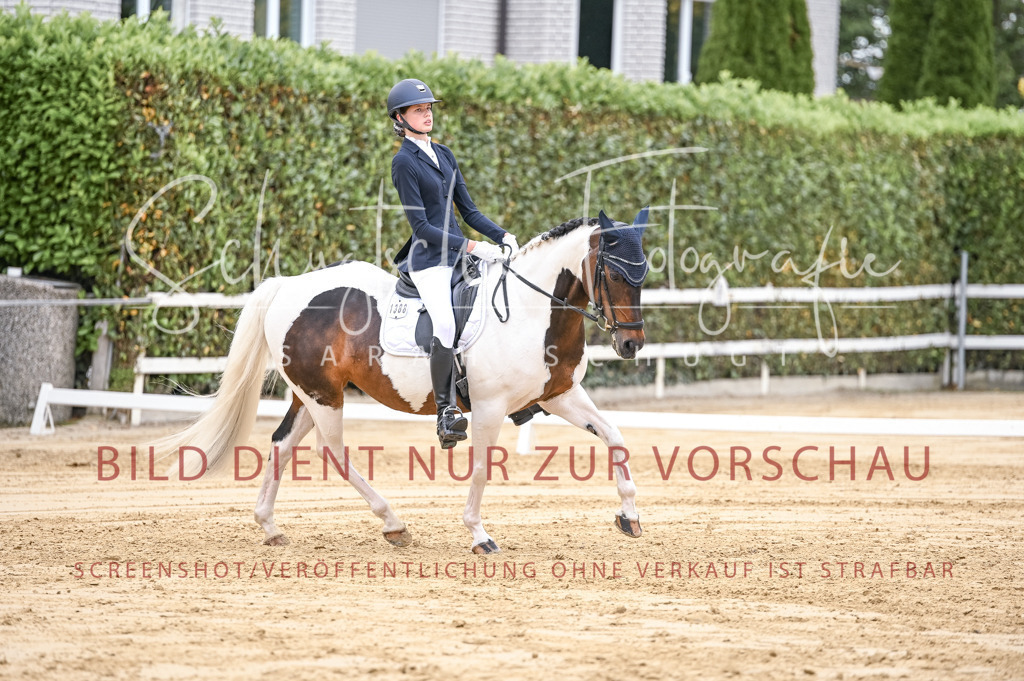 Schugtsche-Aluta25-42.EDressur -189 | Schugtsche Fotografie - Realisiert mit Pictrs.com