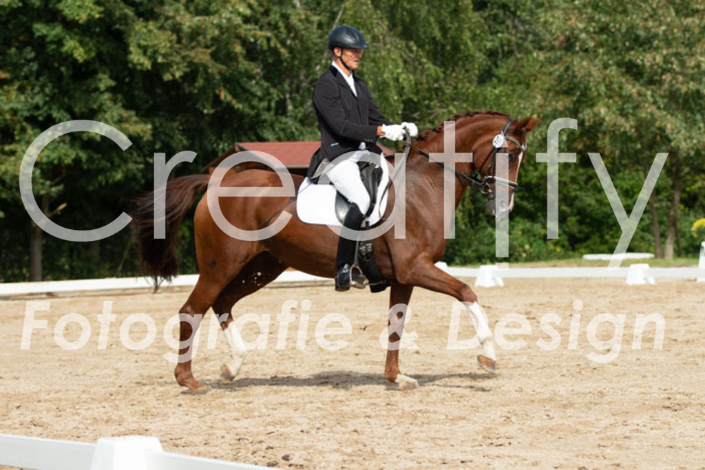 IMG_3320 | Creatify Fotografie