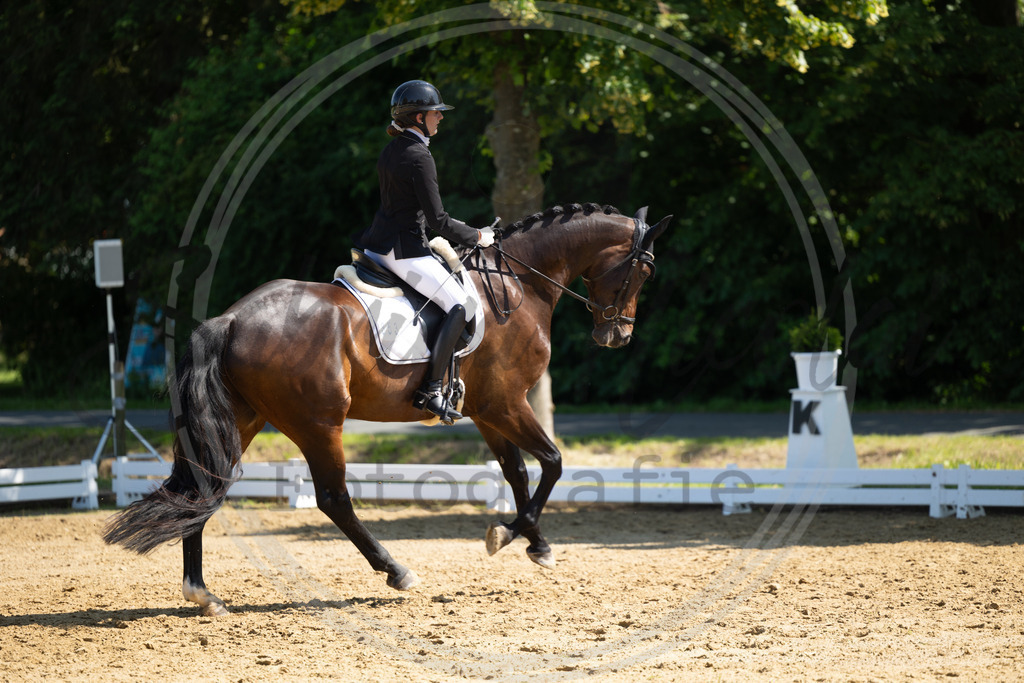 994A2942 | sabrinanicolaifotografie - Realisiert mit Pictrs.com