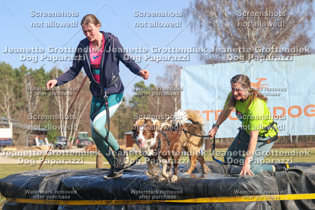 Dog Paparazzi - Strongdog North Mrz26-3019 | Dog Paparazzi Jeanette Grottendiek Fotografie & Videografie - Realisiert mit Pictrs.com