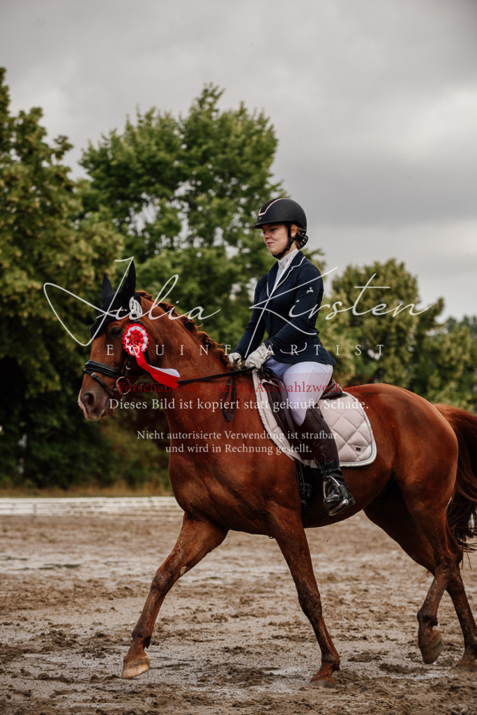 DSC_9402 | Pferde- und Turnierfotografie in Westsachsen. Pferdeportraits, Auftragszeichnungen und intuitive Kunst.