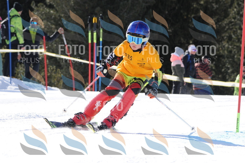 C7239 | holidayphoto