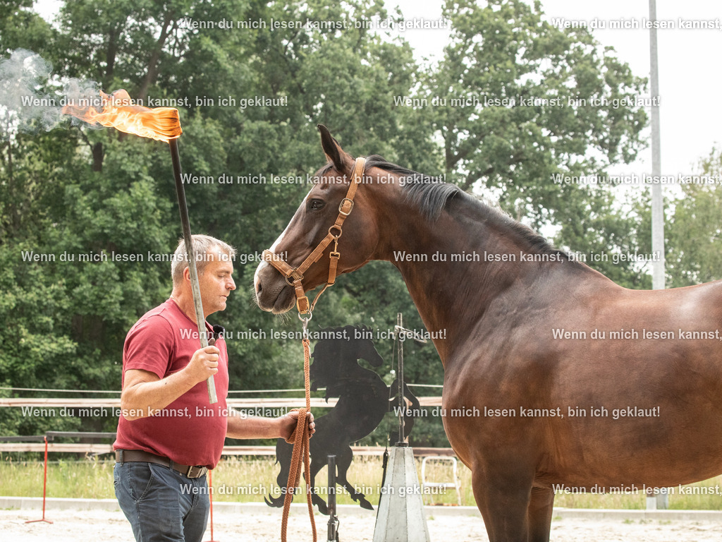 598A7523 | photographylinaismer - Realisiert mit Pictrs.com