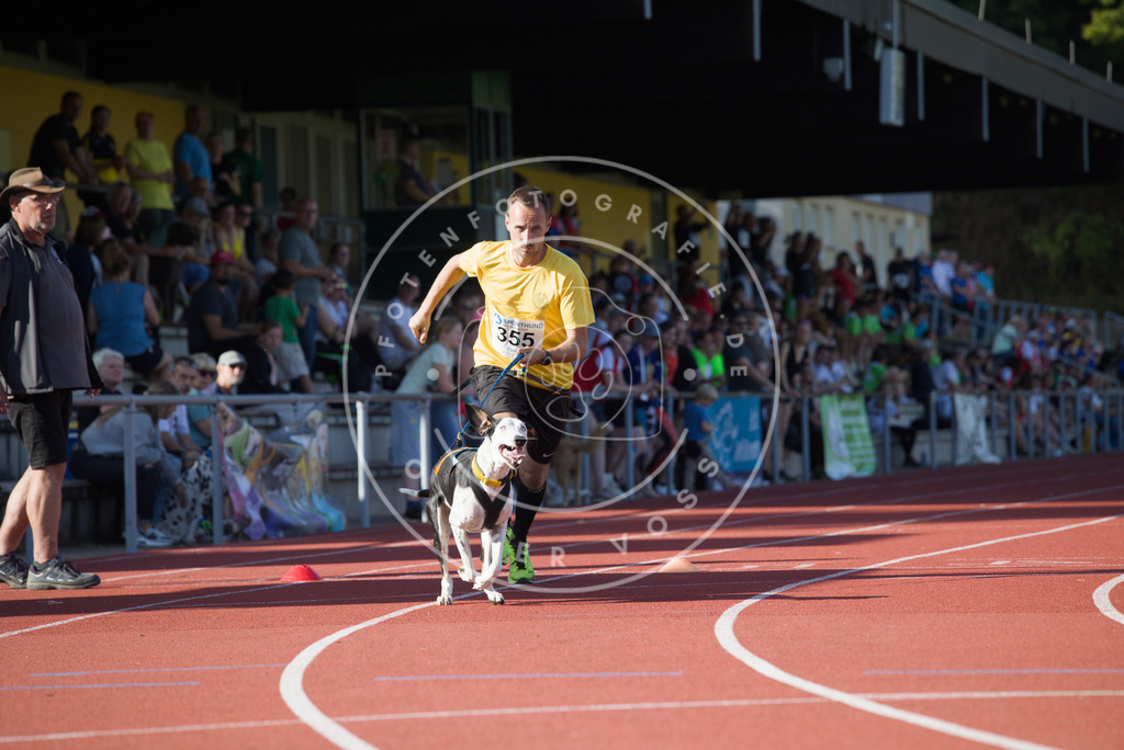 0L8A0079 | Hundefotografie, Tierfotograf, Pfotenfotografie, Fotoshooting Hund, Hunde Portrait, Hundesport, Hundeportraits, Heideshooting, Hunde, Sportfotograf, Hundefotograf, Turnierhundsport, THS,  - Realisiert mit Pictrs.com