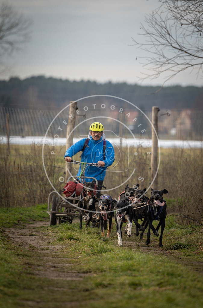 Pfotenfotografie_DV3A6688 | Hundefotografie, Tierfotograf, Pfotenfotografie, Fotoshooting Hund, Hunde Portrait, Hundesport, Hundeportraits, Heideshooting, Hunde, Sportfotograf, Hundefotograf, Turnierhundsport, THS,  - Realisiert mit Pictrs.com