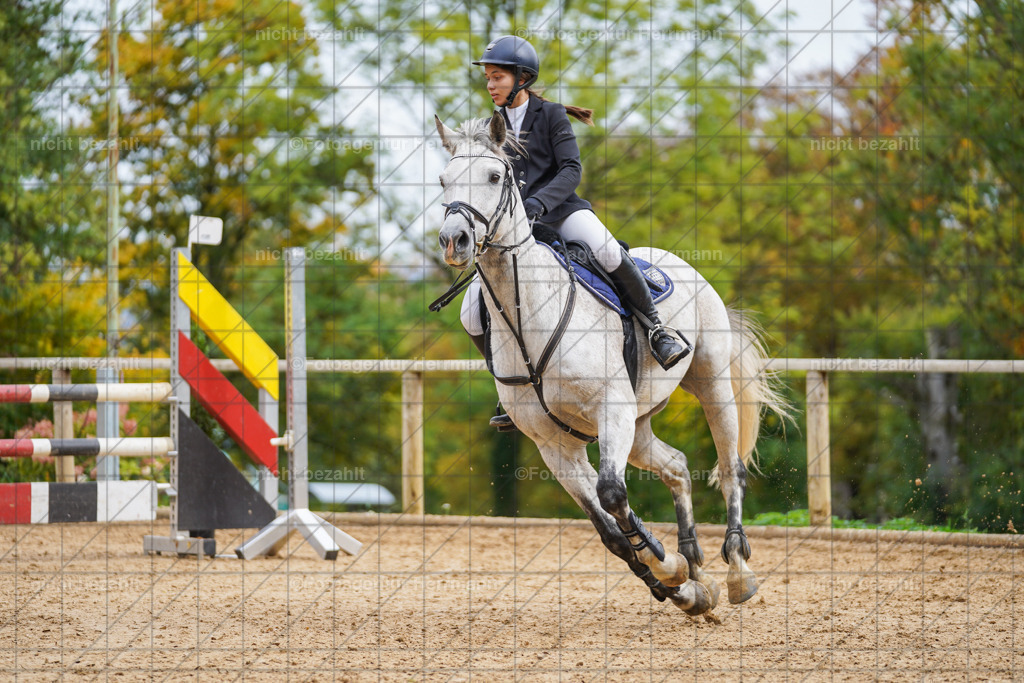 20221009-FAH08678 | Diessen am Ammersee, 2022, Dressur- und Springturnier, Reitsportbilder, Turnierfotografen Bayern, Pferdefotografen, Fotoagentur Herrmann, Turnierbilder