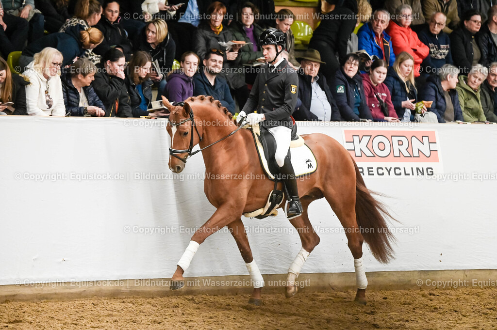 20260307_Hengstvorstellung-Marbach_0284 | equistock