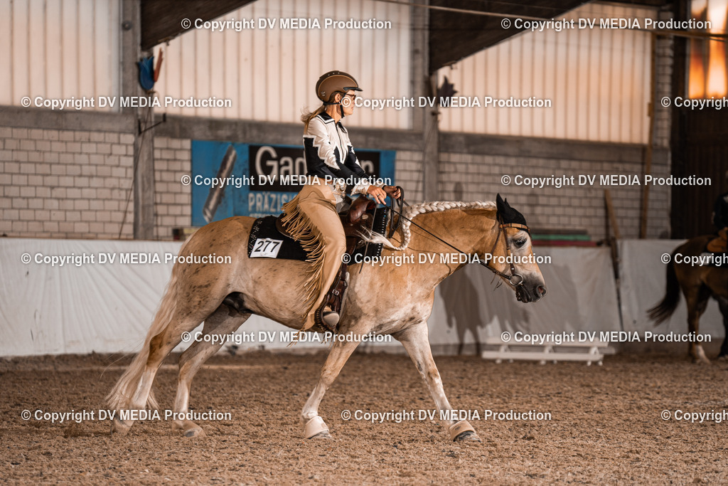 ZH100181 | dv-media-shop - Realisiert mit Pictrs.com