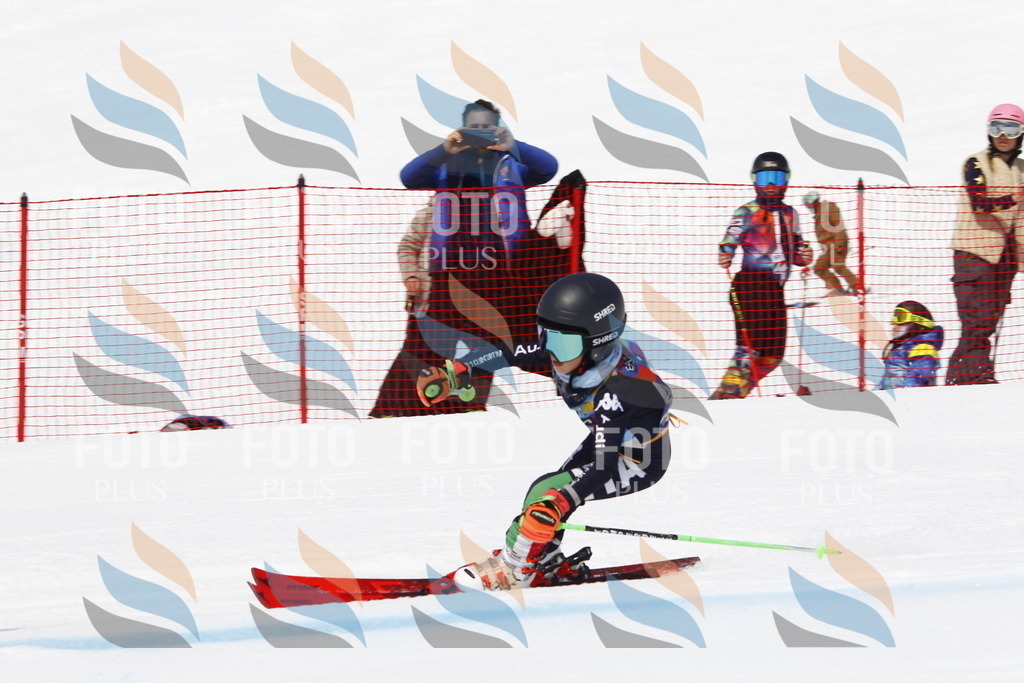 _U3G5455 | holidayphoto