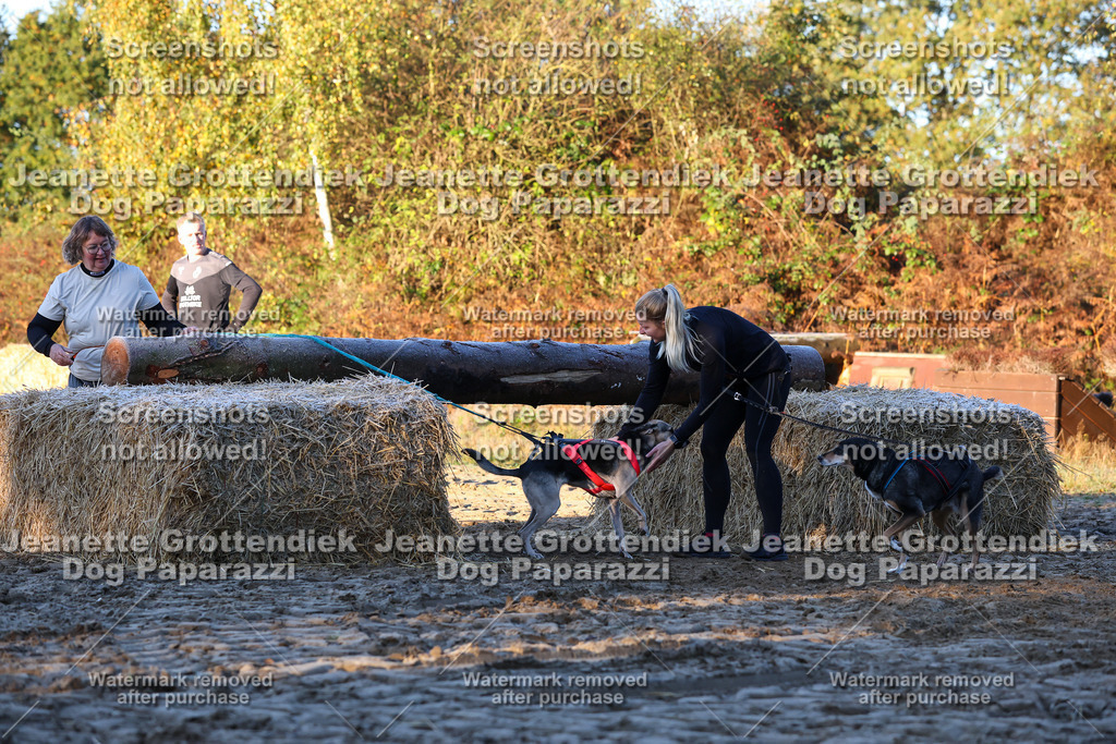 Dog Paparazzi - Strongdog 10-25-573 | Dog Paparazzi Jeanette Grottendiek Fotografie & Videografie - Realisiert mit Pictrs.com