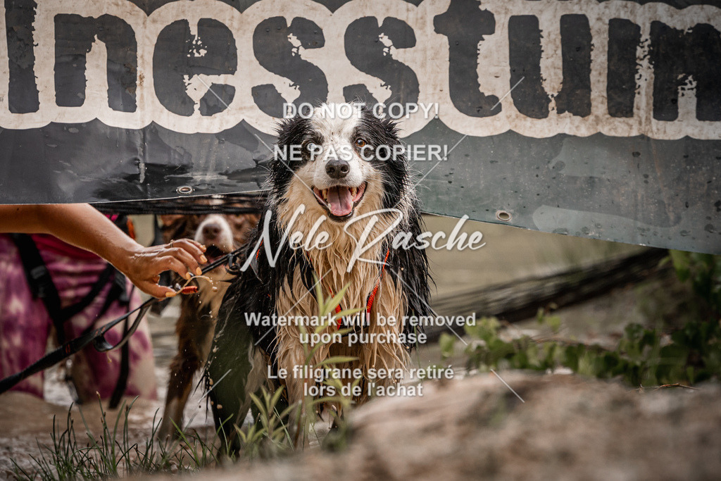 nelerasche_Hoope2026_Sa0900-0930_336 | nelerasche