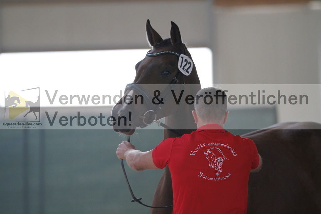 _MG_9543 | equestrian-live-com