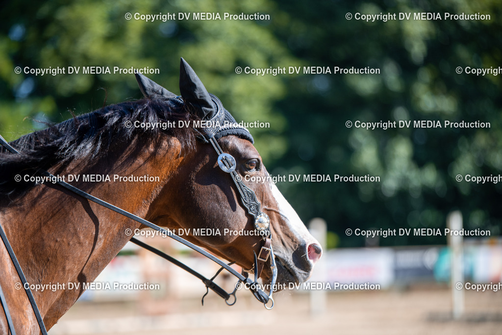 ZS1_0783 | dv-media-shop - Realisiert mit Pictrs.com