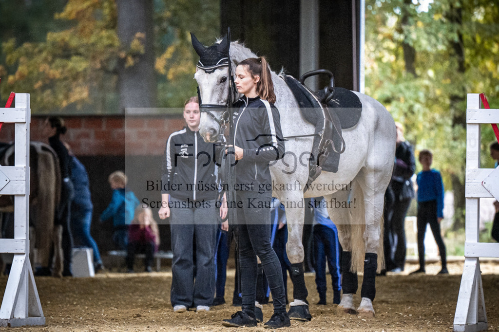 DOS_0001 | Entdecke hochwertige Reitturnierfotos von Foto Oger. Professionell, emotional und authentisch – jetzt Lieblingsmomente im Shop bestellen.Deutschlandweite Turnierfotografie. - Realisiert mit Pictrs.com