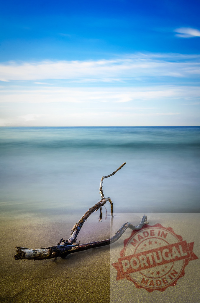 Driftwood on sandy beach with calm ocean water | Driftwood washing ashore on a serene sandy beach with a smooth water surface - Realized with Pictrs.com