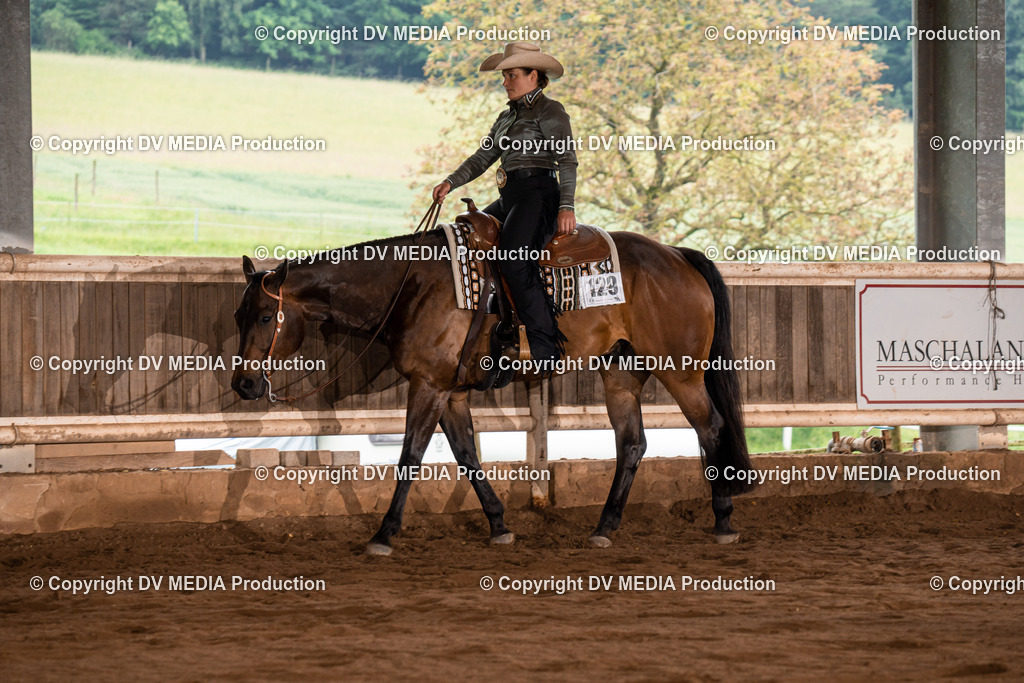 Erbach Tag 4-395 | dv-media-shop - Realisiert mit Pictrs.com