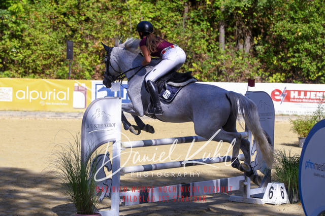 DKP43346 | Turniersportfotografie; Pferdefotografie; Dressurfotografie