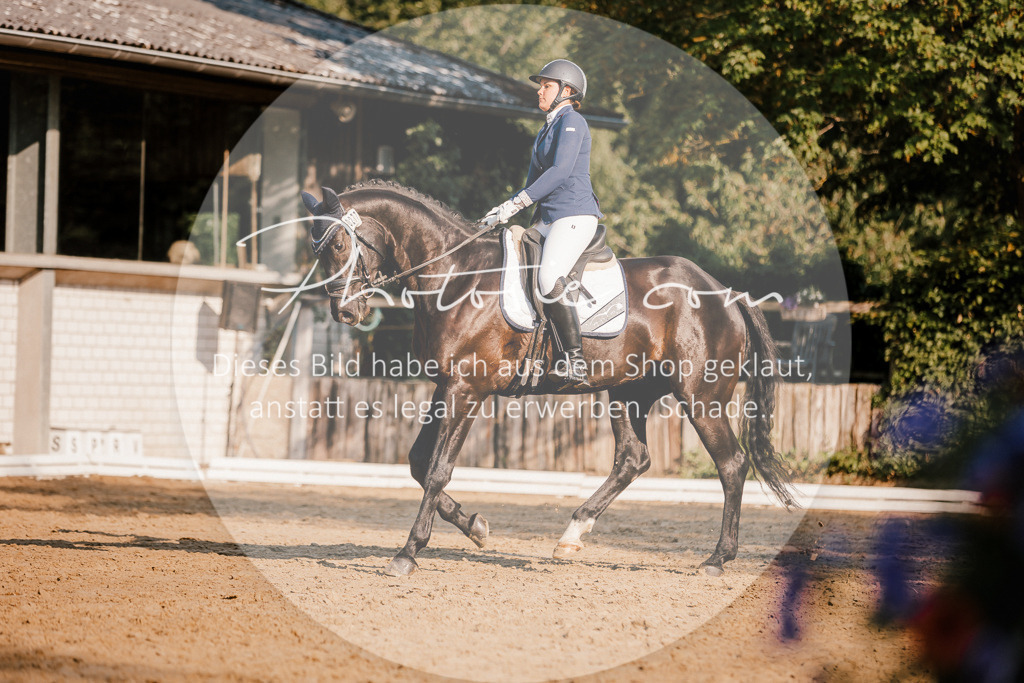 3I6A8555 | Stimmungsvolle Portraits und Reitsportfotografie im Ruhrgebiet und im Münsterland.

Pferdefotografie, Hundefotografie, Tierfotografie, Reportagen, Portraits von Tier und Mensch, Turnierfotografie in Bochum, Recklinghausen, Marl, Haltern am See, Dülmen.. - Realisiert mit Pictrs.com