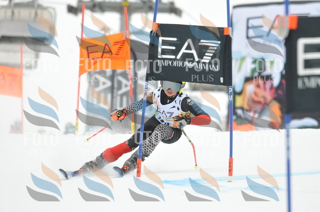 DSC_8095 | holidayphoto