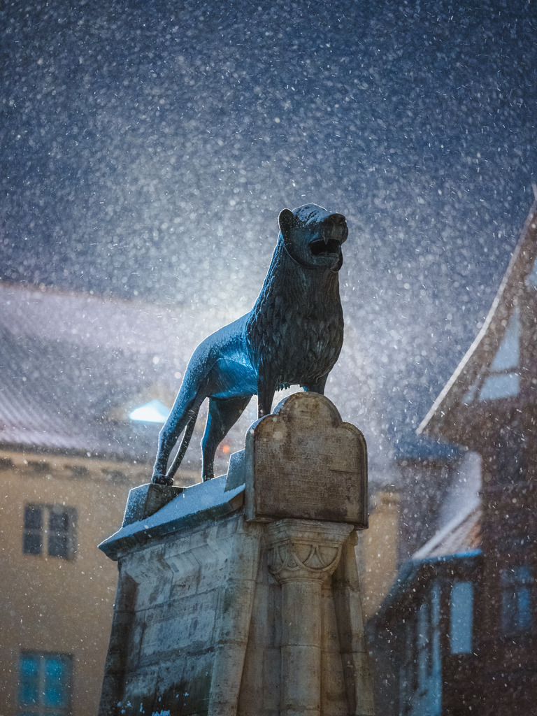 Burgplatz | Entdecke exklusive Fotokunst aus Braunschweig: Bildband, Leinwände, Postkarten, Kalender, digitale Downloads & Bildlizenzen. Jetzt im offiziellen Beautiful Braunschweig Shop! - Realisiert mit Pictrs.com