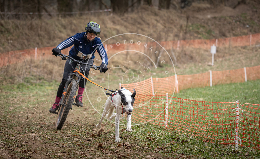 Pfotenfotografie_DV3A5163 | Hundefotografie, Tierfotograf, Pfotenfotografie, Fotoshooting Hund, Hunde Portrait, Hundesport, Hundeportraits, Heideshooting, Hunde, Sportfotograf, Hundefotograf, Turnierhundsport, THS,  - Realisiert mit Pictrs.com