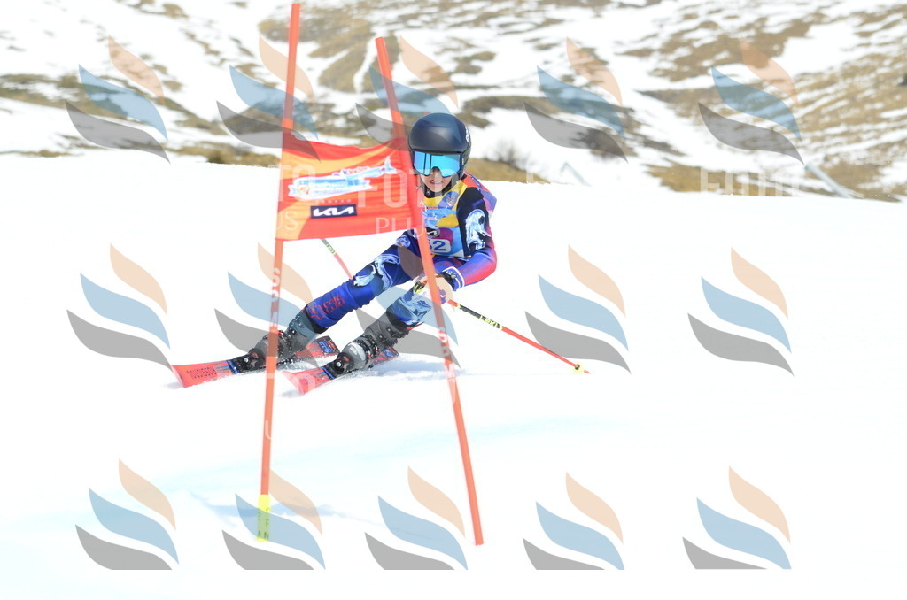 _ELE2699 | holidayphoto