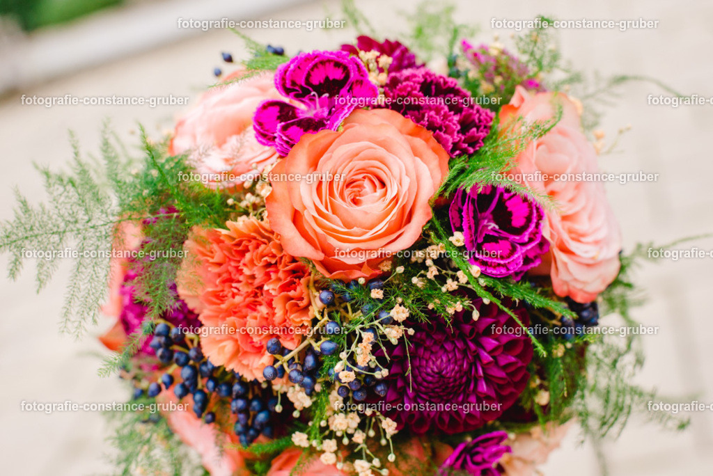 1017 | Fotografie Constance Gruber - Realisiert mit Pictrs.com