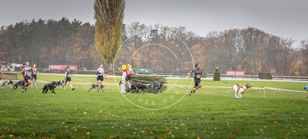 CaniXpix_DV3A8726 | Hundefotografie, Tierfotograf, Pfotenfotografie, Fotoshooting Hund, Hunde Portrait, Hundesport, Hundeportraits, Heideshooting, Hunde, Sportfotograf, Hundefotograf, Turnierhundsport, THS,  - Realisiert mit Pictrs.com