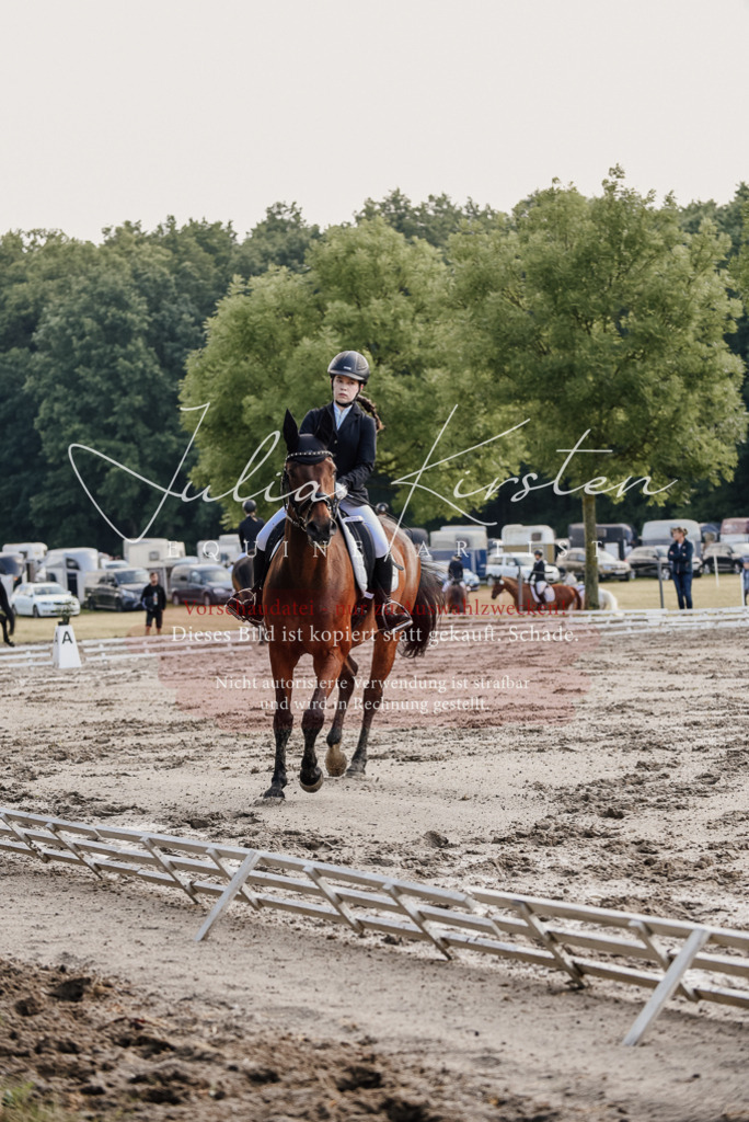 DSC_7988 | Pferde- und Turnierfotografie in Westsachsen. Pferdeportraits, Auftragszeichnungen und intuitive Kunst.