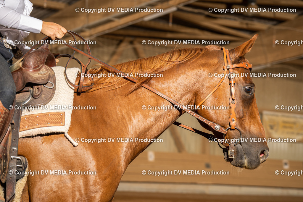 NID03602 | dv-media-shop - Realisiert mit Pictrs.com