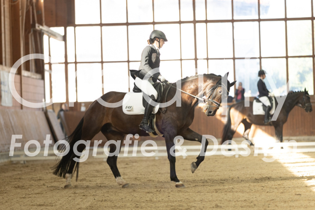 IMG_7997 | Creatify Fotografie