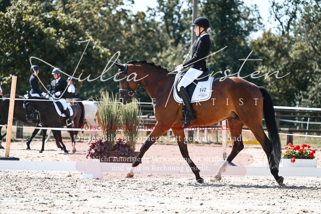 DSC_5046 | Pferde- und Turnierfotografie in Westsachsen. Pferdeportraits, Auftragszeichnungen und intuitive Kunst.