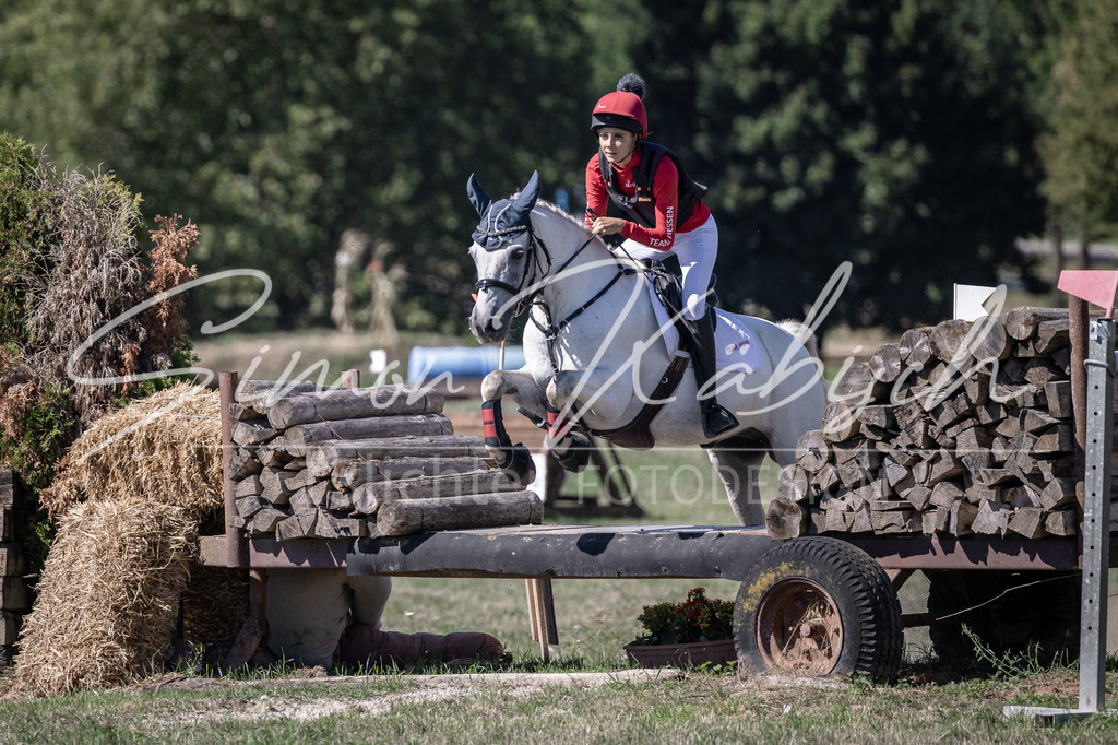 20260906-_3LI3091 | Tierfotografie Pferde, Hunde, Katzen, Haustiere.
Turnierfotografie Reitturniere, Reiten, Springreiten, Dressur in Hanau, dem Main-Kinzig-Kreis und dem Rhein-Main- Gebiet um Frankfurt