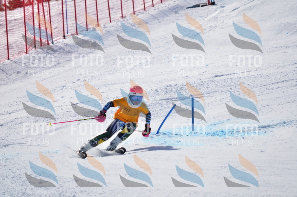 C9622 | holidayphoto