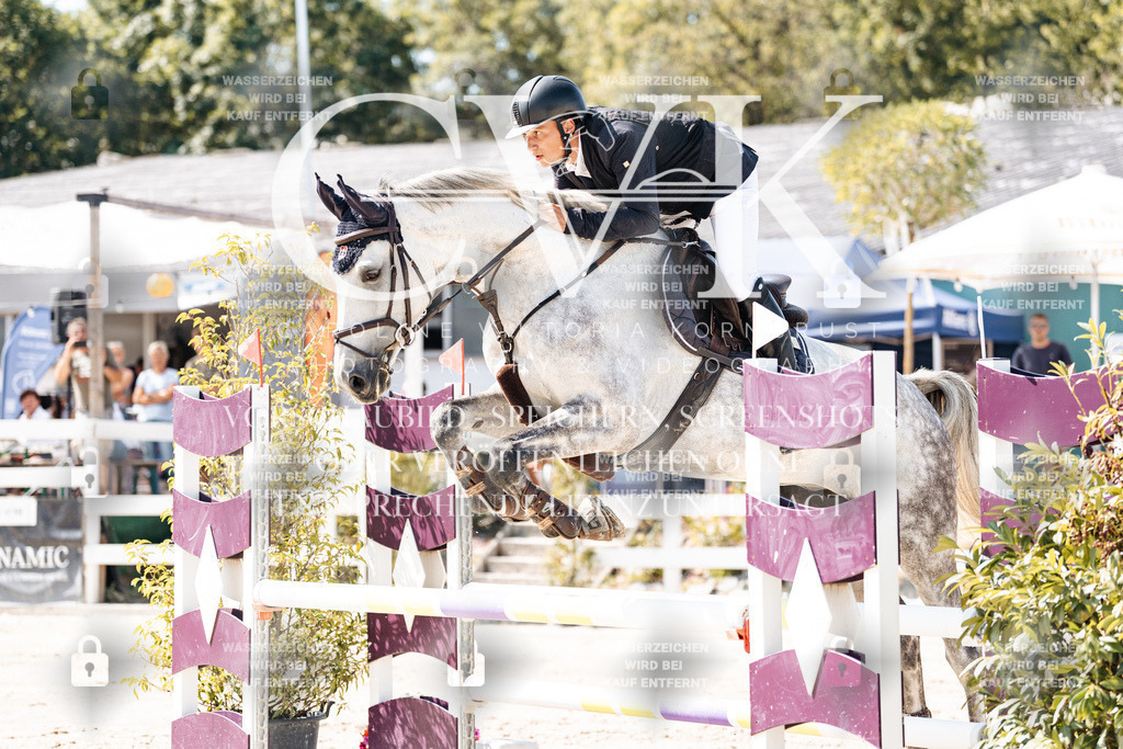 CK908776 | Turnierfotografie Pferdefotografie Trier Rheinland-Pfalz Pferdesport Reitsport Tierfotografie Sportfotografie Pferdevideo Pferdevideografie Equestrianvideography equestrianphotography  - Realisiert mit Pictrs.com