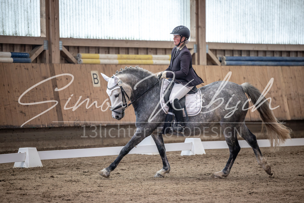 20251011-_3LI9222 | Tierfotografie Pferde, Hunde, Katzen, Haustiere.
Turnierfotografie Reitturniere, Reiten, Springreiten, Dressur in Hanau, dem Main-Kinzig-Kreis und dem Rhein-Main- Gebiet um Frankfurt