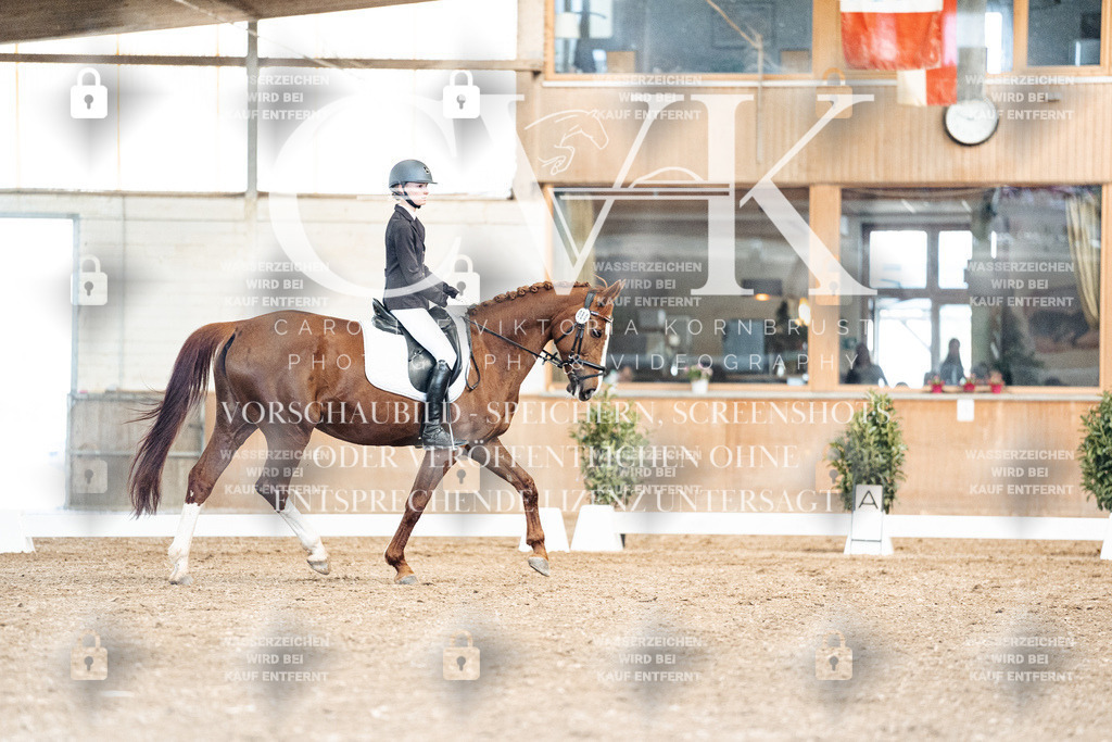 CK900983 | Turnierfotografie Pferdefotografie Trier Rheinland-Pfalz Pferdesport Reitsport Tierfotografie Sportfotografie Pferdevideo Pferdevideografie Equestrianvideography equestrianphotography  - Realisiert mit Pictrs.com