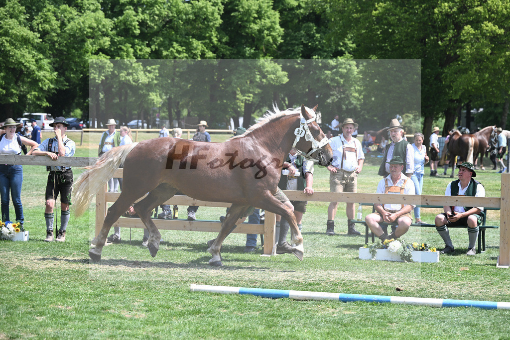 Kat-Nr. 57 Eleonore_Maier_20230922 | hf-fotografie - Realisiert mit Pictrs.com