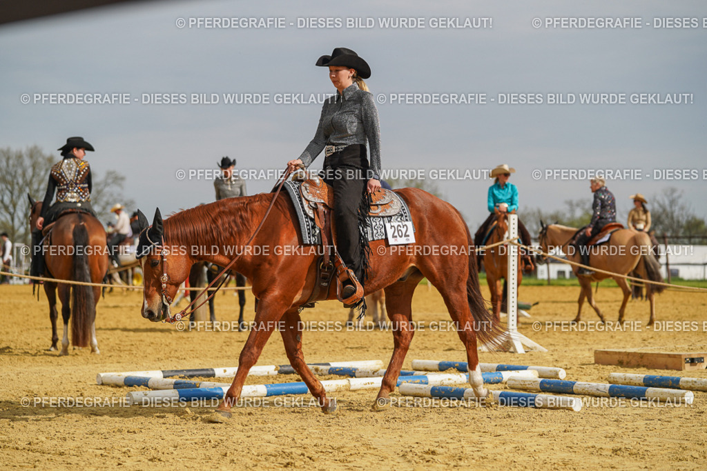 DSC02002 | Pferdegrafie