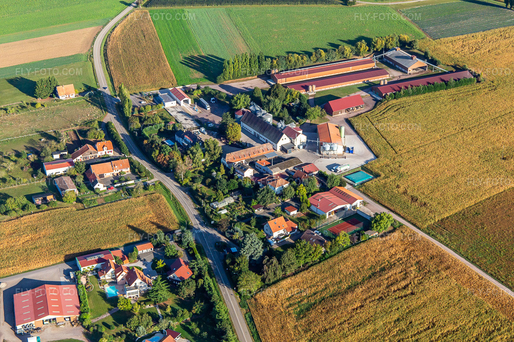 Aerial view: Ferme Schafbusch in Steinseltz in the state Bas-Rhin, France. – Photo: IMG_138963.jpg taken on 09/24/2023 by Werner Riehm/FLY-FOTO.com – Resolution of the original: 5472 x 3648 px – Ferme Schafbusch