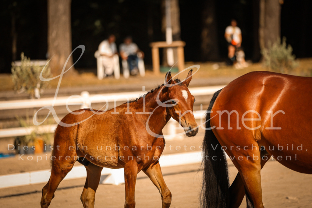 11.DoRP00106 | Leoni Ertmer Photography - Realisiert mit Pictrs.com