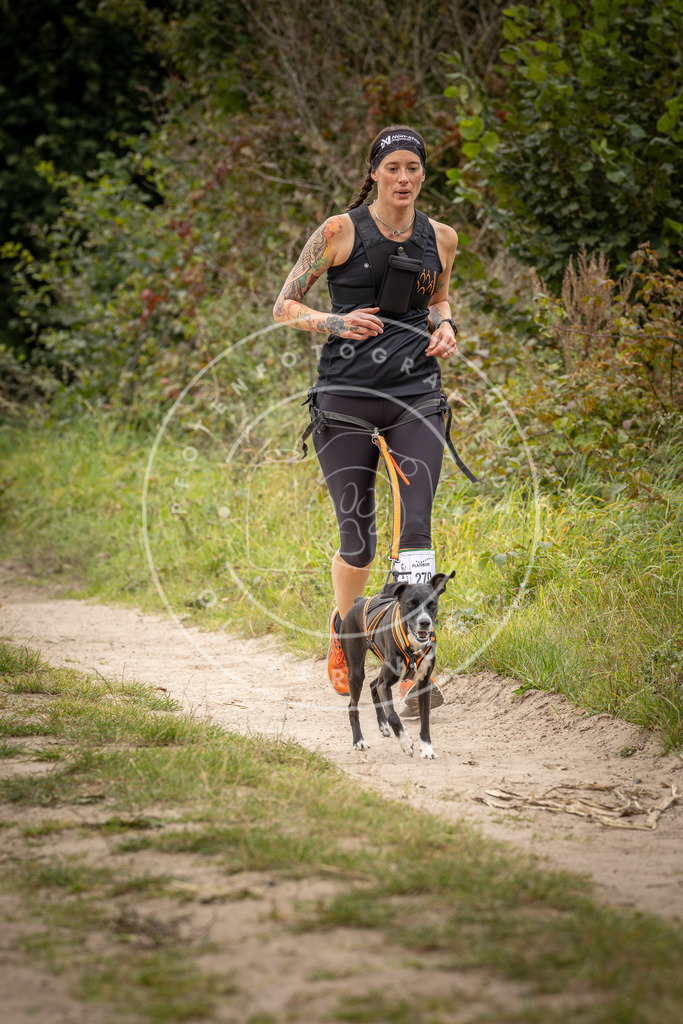 Pfotenfotografie_DV3A8142 | Hundefotografie, Tierfotograf, Pfotenfotografie, Fotoshooting Hund, Hunde Portrait, Hundesport, Hundeportraits, Heideshooting, Hunde, Sportfotograf, Hundefotograf, Turnierhundsport, THS,  - Realisiert mit Pictrs.com