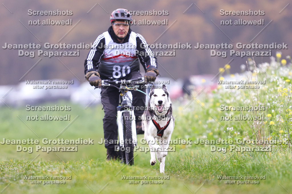 Dog Paparazzi - Visbeck 25 -229 | Dog Paparazzi Jeanette Grottendiek Fotografie & Videografie - Realisiert mit Pictrs.com