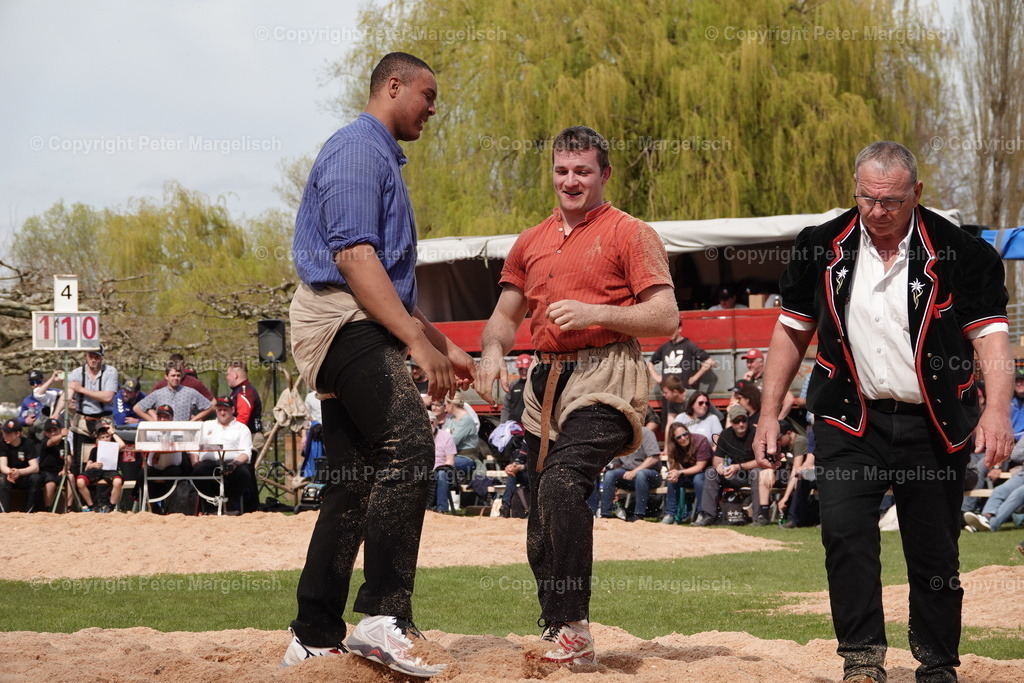 DSC02346 | Schwingen - Realisiert mit Pictrs.com