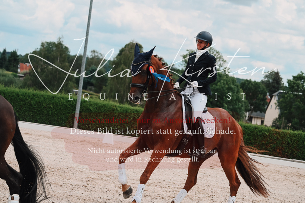 DSC_4432 | Pferde- und Turnierfotografie in Westsachsen. Pferdeportraits, Auftragszeichnungen und intuitive Kunst.
