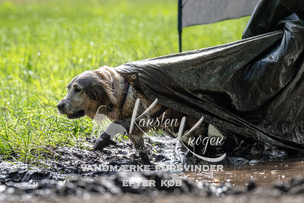0914_ZZ90493 | kk-dogfotos