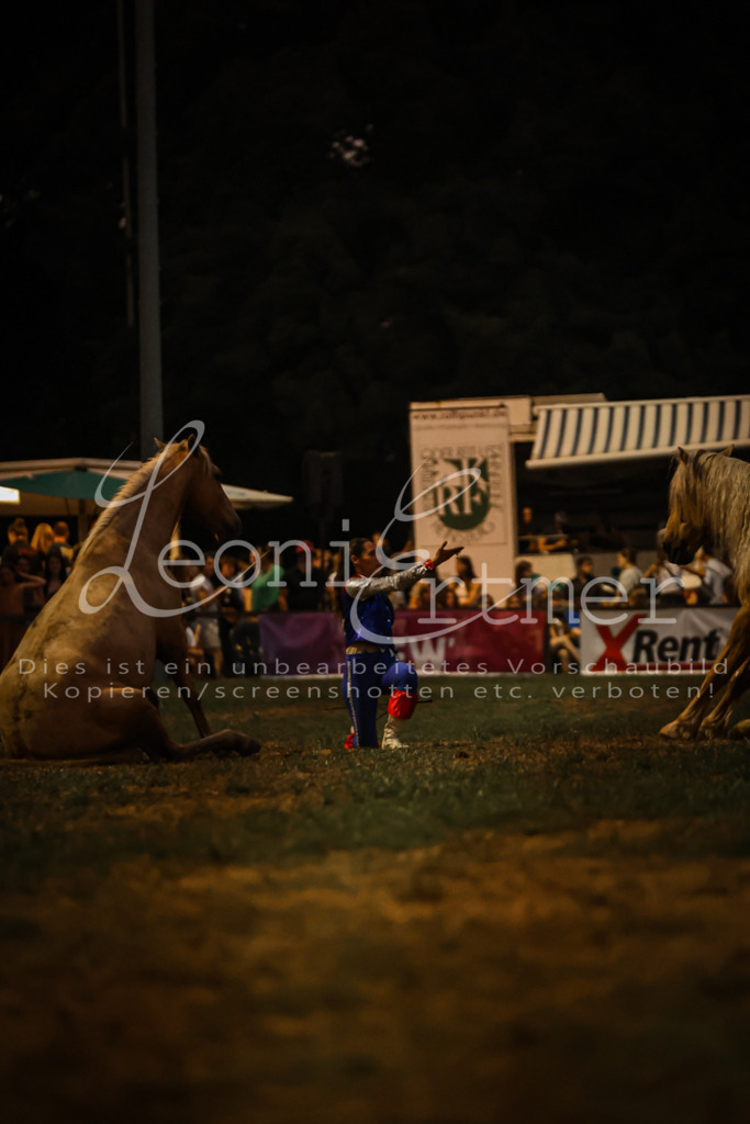 SaShow00291 | Leoni Ertmer Photography - Realisiert mit Pictrs.com